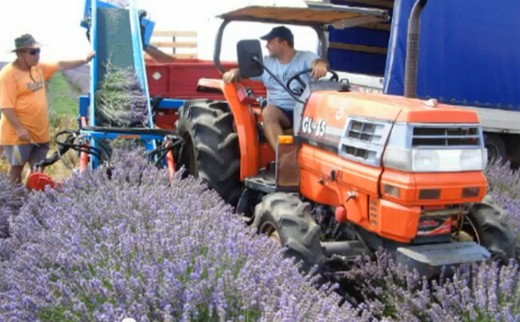 levendula arató traktor adapter